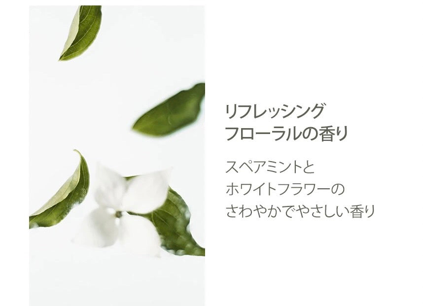 006【nesh】mint biome scalp purifying scrub